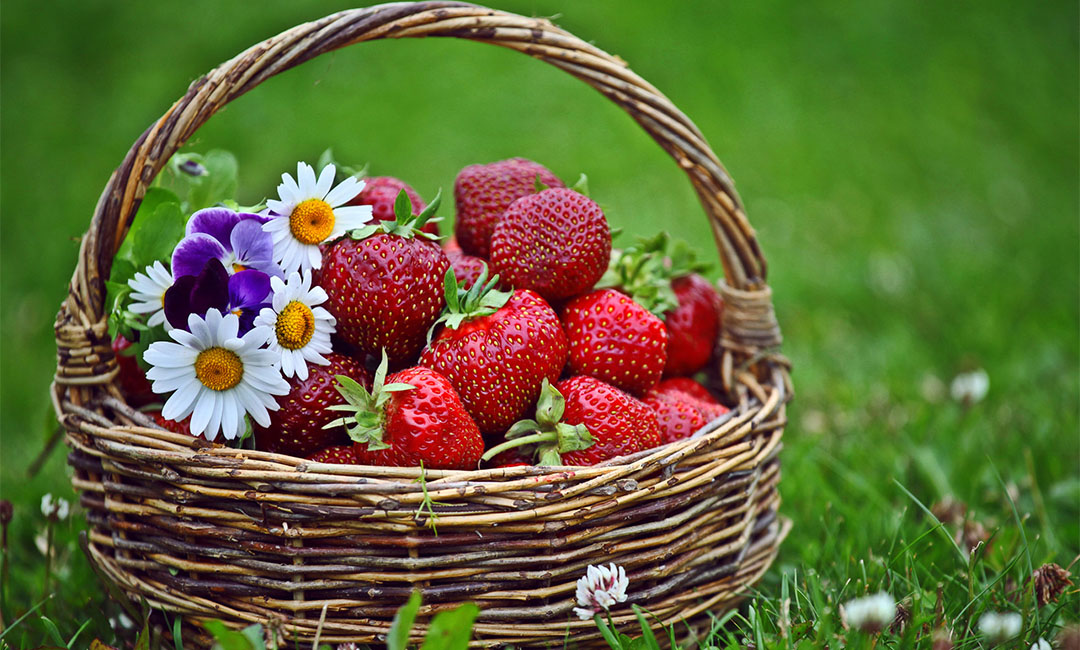 保山点呀点水果电商APP开发案例